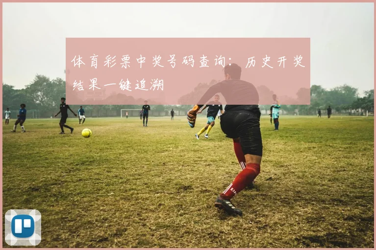 体育彩票中奖号码查询：历史开奖结果一键追溯