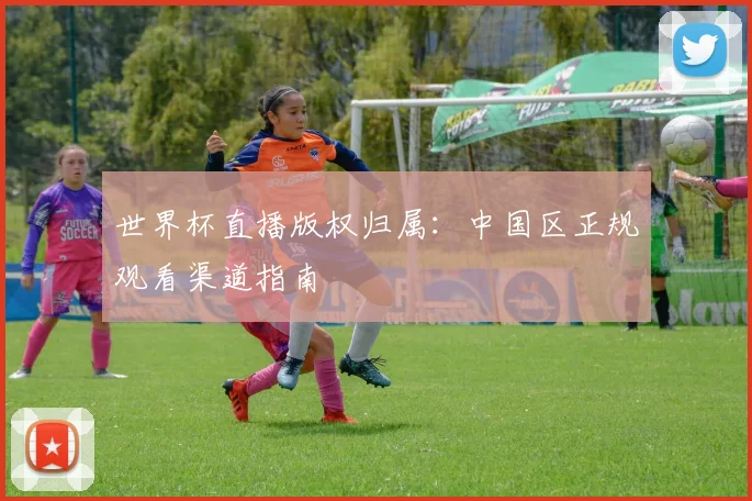 世界杯直播版权归属：中国区正规观看渠道指南