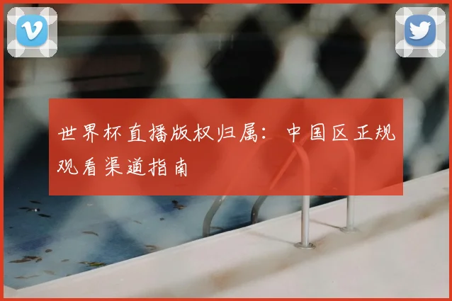 世界杯直播版权归属：中国区正规观看渠道指南